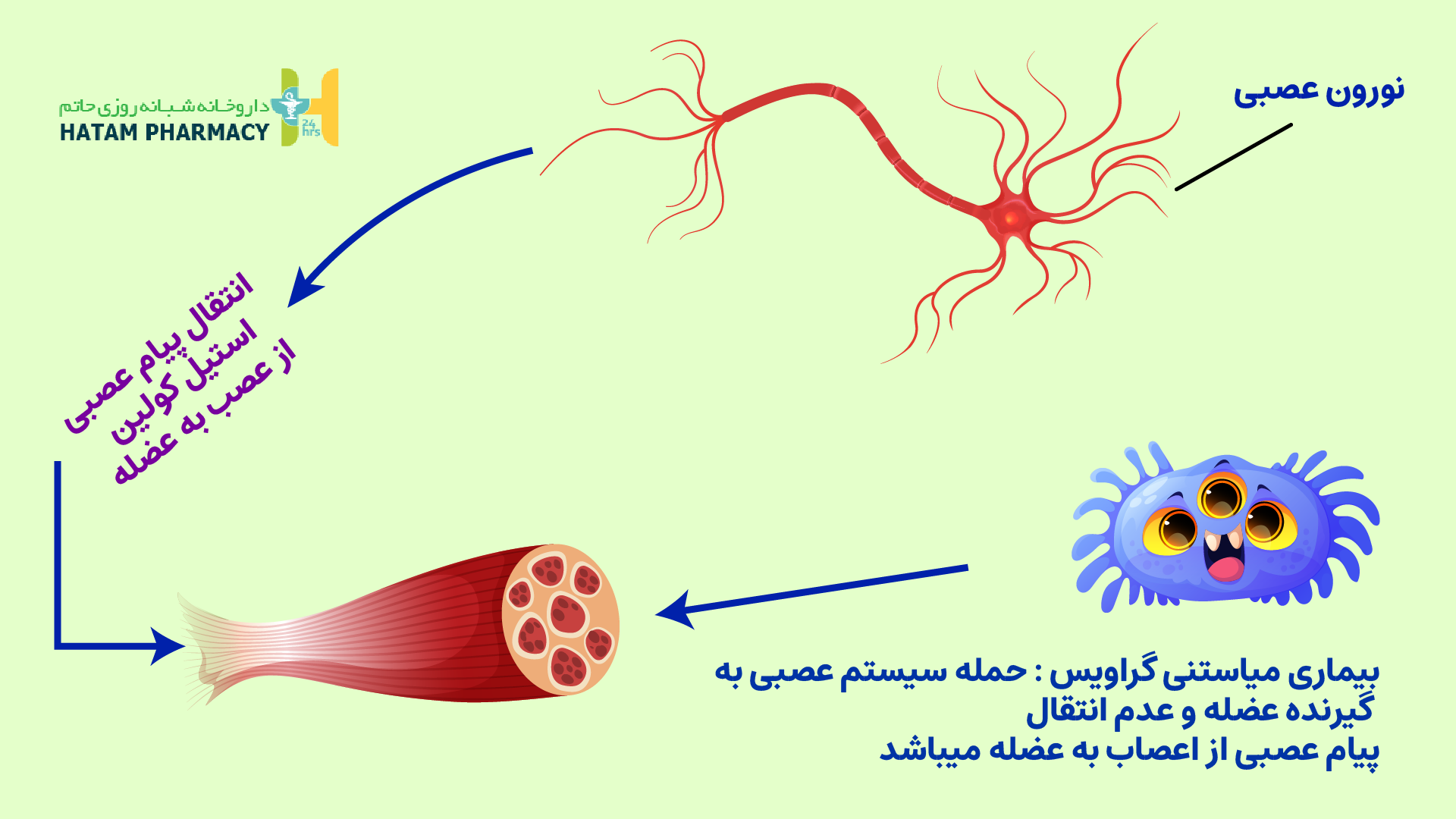 بیماری میاستنی گراویس